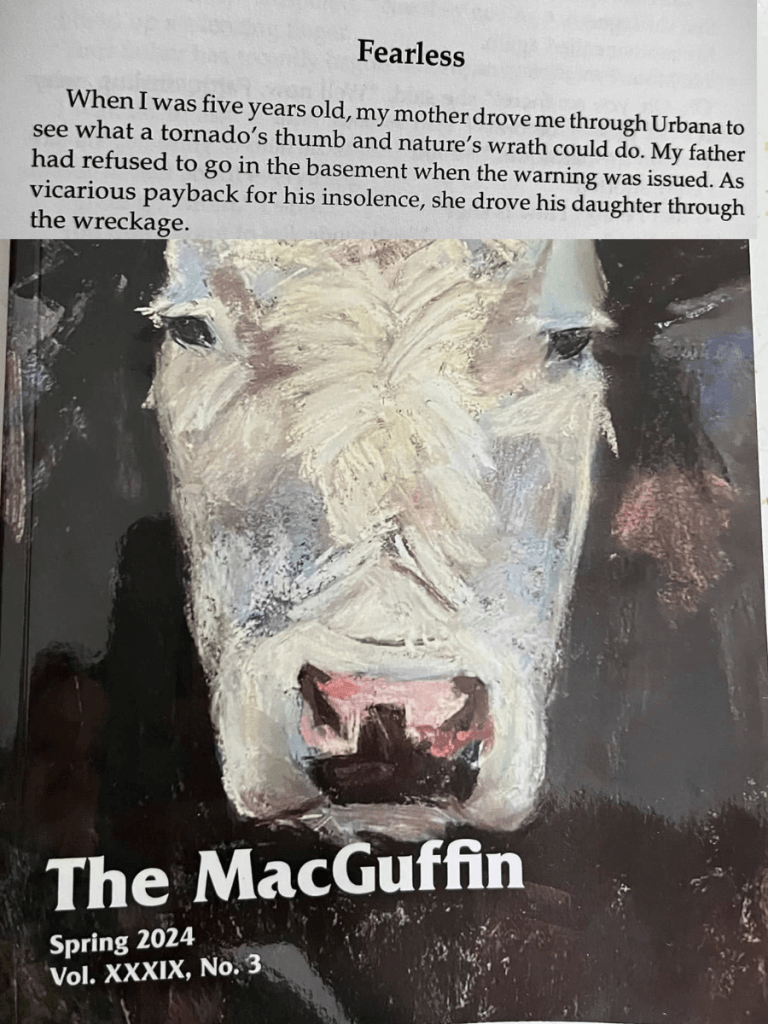 Cover of 'The MacGuffin' Spring 2024, featuring a close-up painting of a cow's face with the story title 'Fearless' and an excerpt of the story underneath.